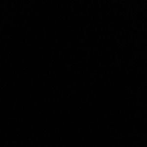 Meet your Posher, Ingrid